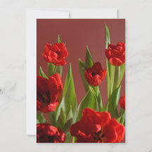 Rote Tulpen „Sei mein Valentinstag?“ Minimalistisc