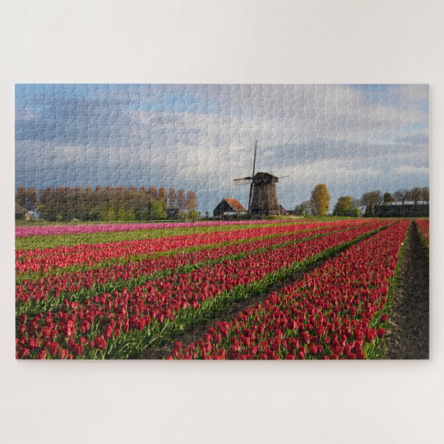 Rote Tulpen und eine Windmühle im Frühjahr Puzzle (Horizontal)