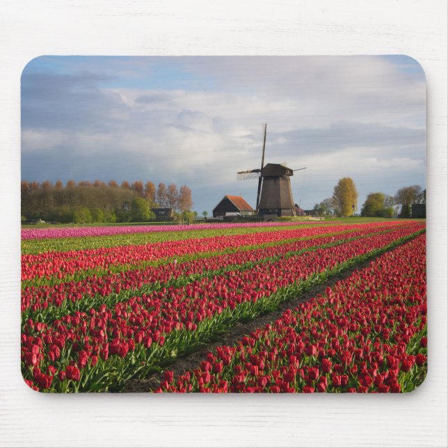 Rote Tulpen und eine Windmühle Mousepad (Vorne)