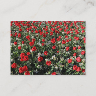 Rote Tulpen und Primeln Visitenkarte