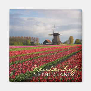 Rote Tulpen und Windmühle Magnet