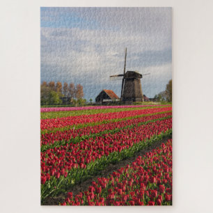 Rote Tulpen und Windmühle Puzzle