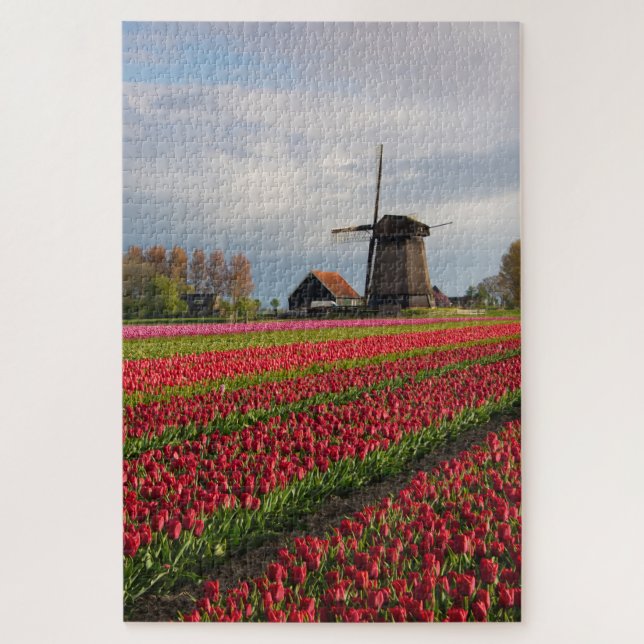 Rote Tulpen und Windmühle Puzzle (Vertikal)
