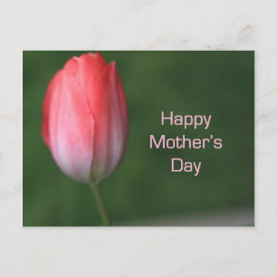 rote Tulpenblume, alles Gute zum Muttertag Postkarte