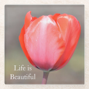 Rote Tulpenblume (Foto von mir) Glasuntersetzer