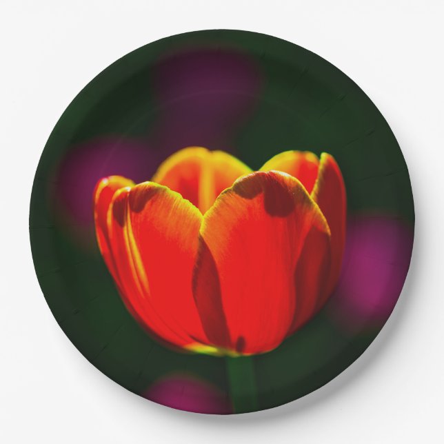 Rote Tulpenblume Pappteller (Vorderseite)