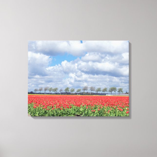 Rote Tulpenfelder zeigen Leinwand (Vorderseite)