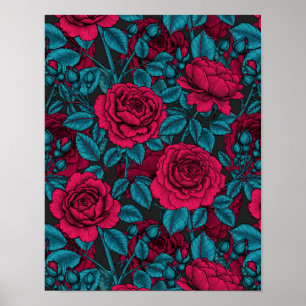 Rote und blaue Rose Poster