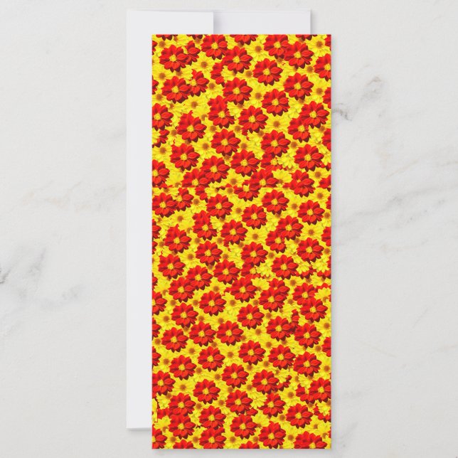 Rote und gelbe Dahlien-Blume (Vorderseite)