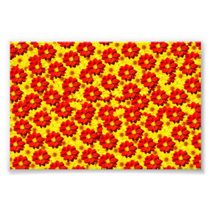 Rote und gelbe Dahlien-Blume Fotodruck