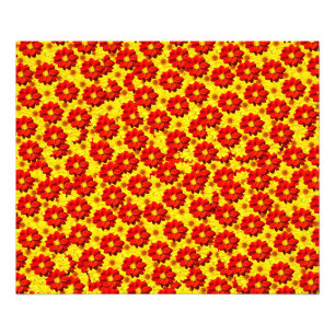 Rote und gelbe Dahlien-Blume Fotodruck