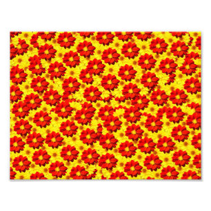 Rote und gelbe Dahlien-Blume Fotodruck