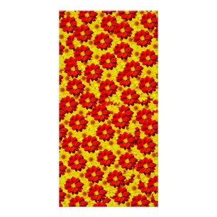 Rote und gelbe Dahlien-Blume Poster