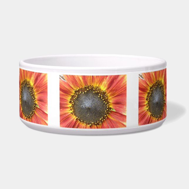 Rote und gelbe Sonnenblumenschale Napf (Vorderseite)