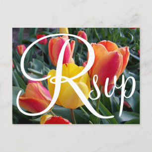Rote und gelbe Tulpen Foto Zeitgenössisches RSVP Einladungspostkarte