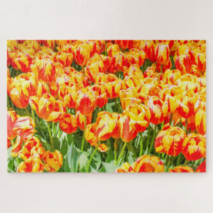 Rote und gelbe Tulpen Puzzle