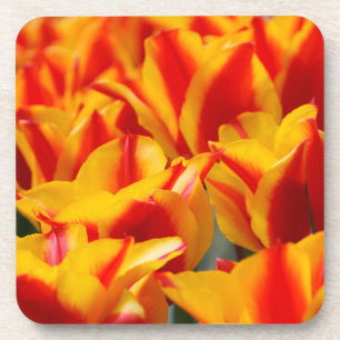 Rote und gelbe Tulpen Untersetzer