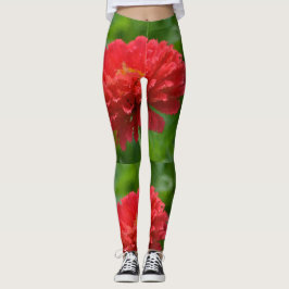 Rote und gelbe Zinnias Leggings