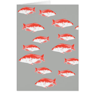 Rote und graue Fische