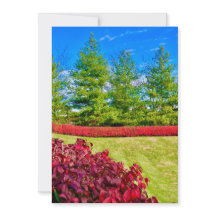 Rote und grüne Ferienkarte