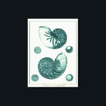 Rote und grüne Seashell-Kunst Leinwanddruck<br><div class="desc">Der Künstler Denis Diderot ist begabt und bekannt für seine großartigen Bilder des Meereslebens. In diesem lebhaften Bild fängt er zwei rot-grüne Muscheln in ihrem natürlichsten Stil ein. Conches werden oft wie diese beiden Muscheln geknackt und in einem sepia aussehenden Ton. Holen Sie sich heute Ihr Muschelprodukt und Sie können...</div>