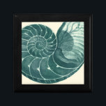 Rote und grüne Seashell-Kunst Schmuckschachtel<br><div class="desc">Der Künstler Denis Diderot ist begabt und bekannt für seine großartigen Bilder des Meereslebens. In diesem lebhaften Bild fängt er zwei rot-grüne Muscheln in ihrem natürlichsten Stil ein. Conches werden oft wie diese beiden Muscheln geknackt und in einem sepia aussehenden Ton. Holen Sie sich heute Ihr Muschelprodukt und Sie können...</div>