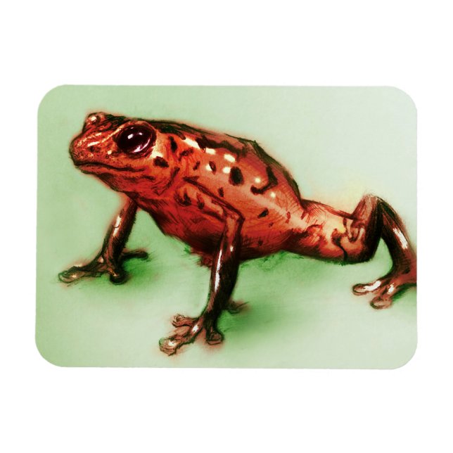 Rote und grüne Tierkunst, Foto Magnet - Frosch (Horizontal)