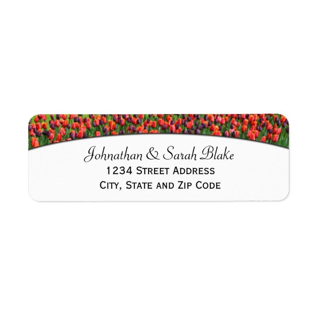 Rote und Lila Tulip-Rücksendeadressen-Aufkleber (Vorne)