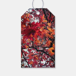 Rote und orangefarbene Blätter Geschenkanhänger