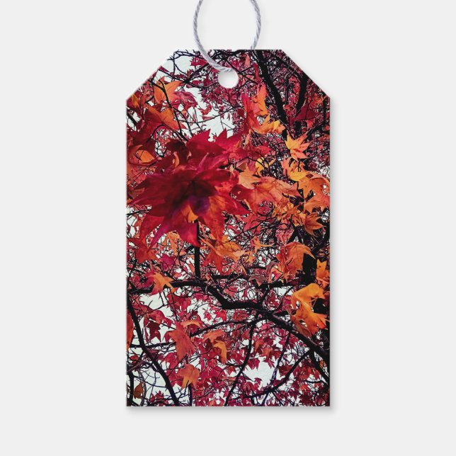 Rote und orangefarbene Blätter Geschenkanhänger (Vorderseite)