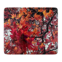 Rote und orangefarbene Blätter