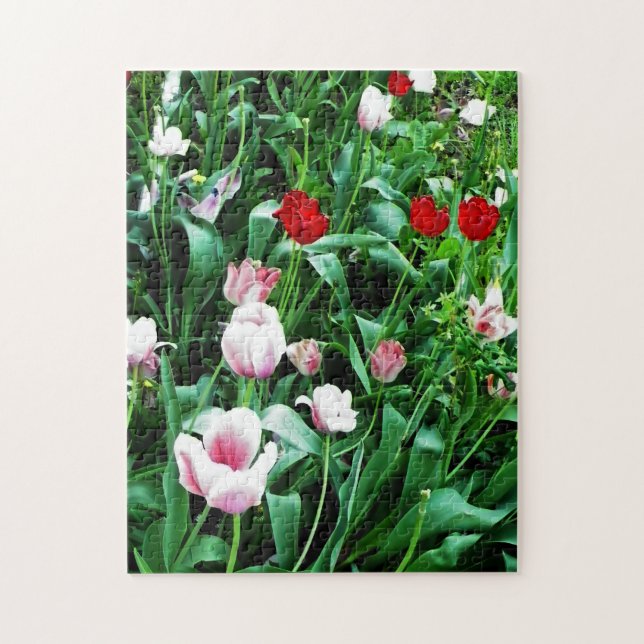 Rote und rosa Tulips Bilder Puzzle (Vertikal)