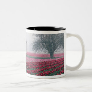 Rote und rosa Tulpen begrüßen den Tag an einem neb Zweifarbige Tasse