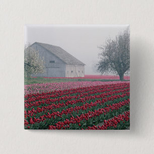 Rote und rosa Tulpen heißen den Tag auf einem Mist Button