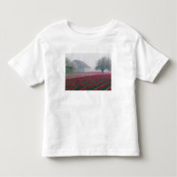 Rote und rosa Tulpen heißen den Tag auf einem Mist
