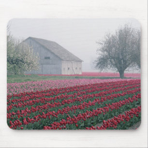 Rote und rosa Tulpen heißen den Tag auf einem Mist Mousepad