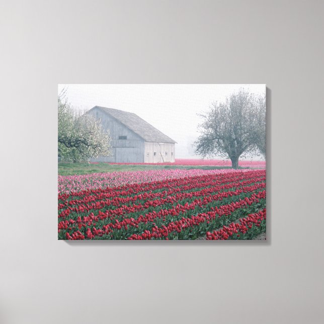 Rote und rosafarbene Tulpen laden zum Verweilen ei Leinwanddruck (Vorderseite)