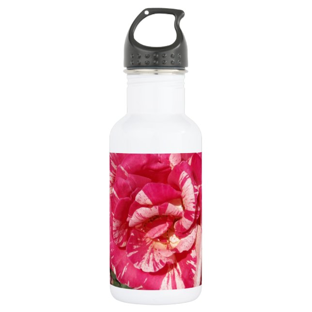 Rote und SahneRose Trinkflasche (Vorderseite)