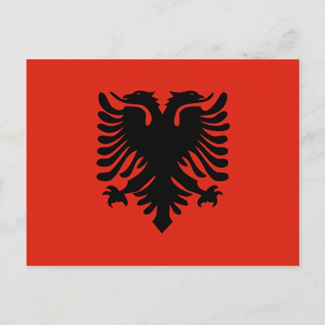 Rote und schwarze Doppelkopfseeflagge Albaniens Postkarte (Vorderseite)