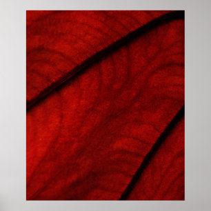 Rote und Schwarze Kolokasien Abstrakt Poster