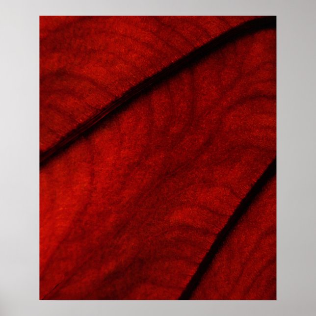 Rote und Schwarze Kolokasien Abstrakt Poster (Vorne)