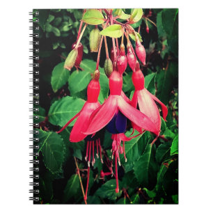 Rote und violette Blumen Notizblock