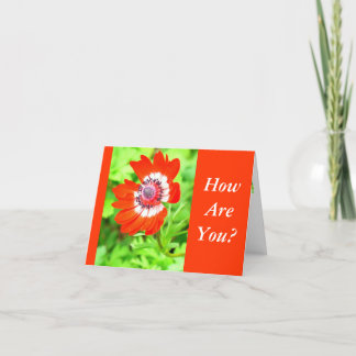 ROTE UND WEISSE BLUME / WIE BIST DU? (PERSONALISIE KARTE