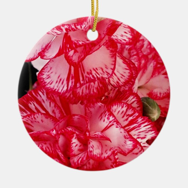 Rote und weiße Nelken RUNDE ORNAMENT (Vorne)