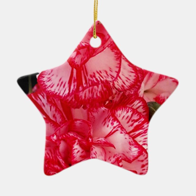 Rote und weiße Nelken STAR ORNAMENT (Vorne)