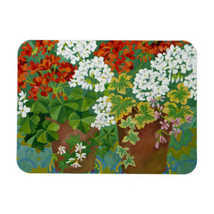 Rote und weiße Pelargonien in Töpfen 2013 Magnet