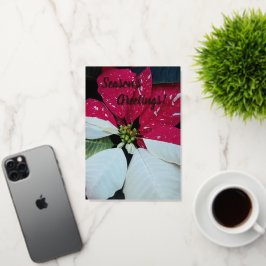 Rote und weiße Poinsettia Floral