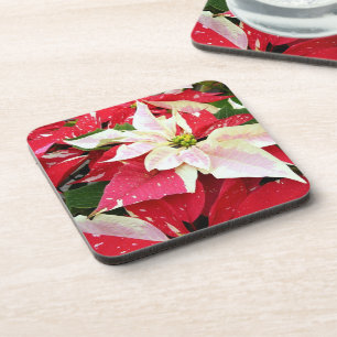Rote und weiße Poinsettia Holiday Beverage Coaster Getränkeuntersetzer