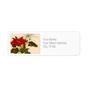 Rote und weiße Poinsettias Botanische Kunstadresse