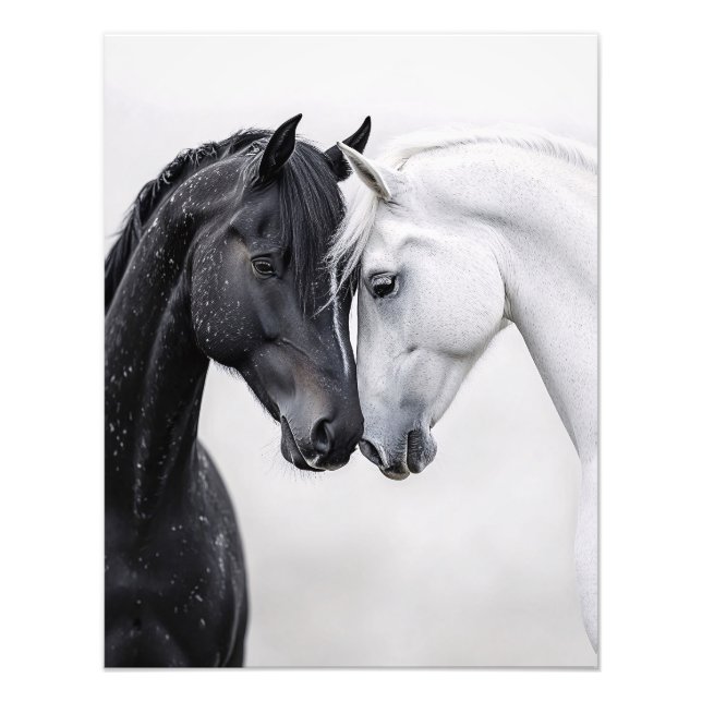 Rote und weiße Stallion Kunst Fotodruck (Vorne)